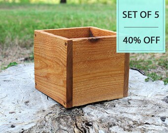 Bulk Set of (5) 5", 6" Square Succulent Planter Wooden Box (5.5"H) / Storage / Wedding / Centerpiece / Flower / Wholesale