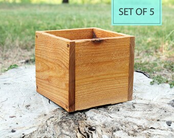 Bulk Set of (5) 5", 6" Square Succulent Planter Wooden Box (5.5"H) / Storage / Wedding / Centerpiece / Flower / Wholesale