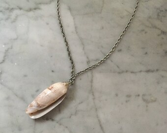 Shell necklace, Chain necklace, silver chain with Shell, vintage shell, Mermaid necklace, Mermaid costume necklace, shell charm necklace