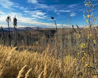 View From US Creek Road - Lustre or Metal Print