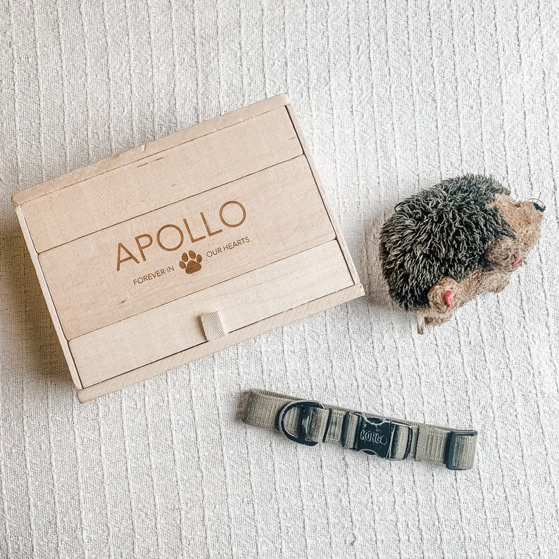 Puede incluir: Una caja de madera con la inscripci&oacute;n "APOLLO FOREVER IN OUR HEARTS" y una huella de pata. Un collar de perro verde con una hebilla negra y la palabra "KONGO" est&aacute; sobre una superficie blanca. Un erizo de peluche marr&oacute;n y gris est&aacute; en el lado derecho de la imagen.