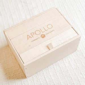 Puede incluir: Una caja de madera clara con tapa, grabada con el nombre "APOLLO" y el texto "FOREVER IN OUR HEARTS" con un s&iacute;mbolo de huella de pata.