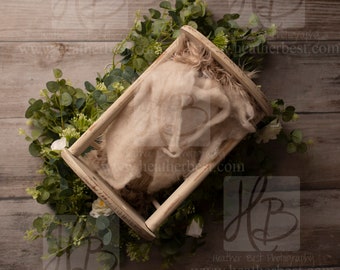 Boho Cradle Newborn Digital Backdrop