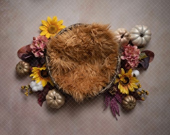 Fall Pumpkin newborn digital background