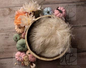 Newborn Pastel Pumpkin Fall Bowl Digital Background