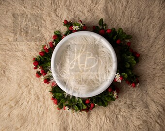Strawberry bowl newborn digital background