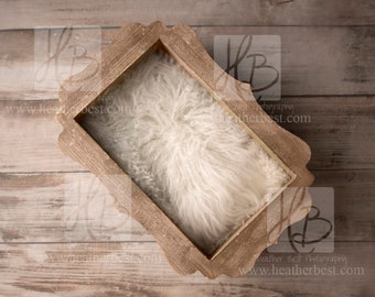 Newborn Neutral Digital Backdrop