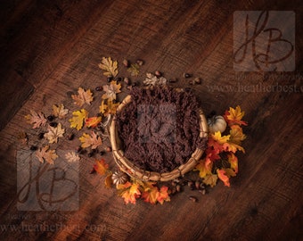 Fall leaves newborn digital background