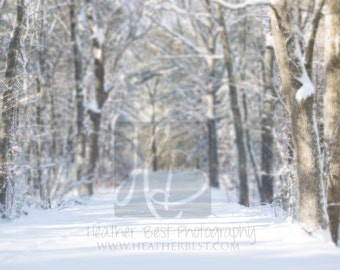 Snowy Road landscape digital background