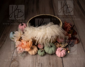 Newborn Pastel Pumpkin Fall Digital Backdrop Bucket Pose