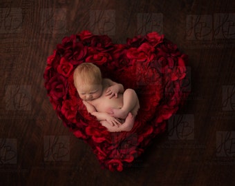 Red Rose Heart Bowl Digital Newborn Backdrop