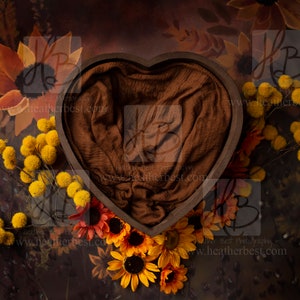 Newborn Fall Heart bowl Digital Background