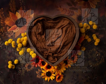 Newborn Fall Heart bowl Digital Background