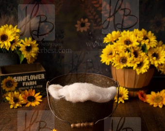 Sunflower Bucket Pose Newborn Digital Background
