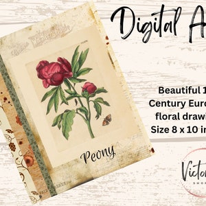 Printable Art - Peony, Cottagecore Wall Art, Digital Prints, Instant Downloadable Collage Sheet
