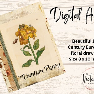 Printable Art - Mountain Pansy, Cottagecore Wall Art, Digital Prints, Instant Downloadable Collage Sheet