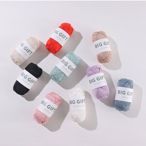 May include: Nine small skeins of yarn in various colors including red, black, white, pink, light blue, lavender, beige, and sage green. Each skein is wrapped with a white paper band featuring the text BIG GIFT printed in dark gray lettering.