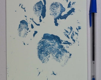 Sumatran Tiger Paw Prints on Cardstock