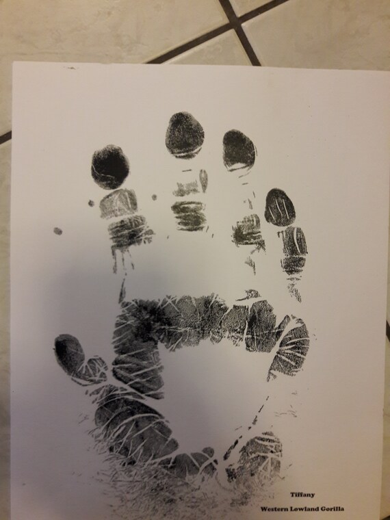 Gorilla handprint on cardstock | Etsy