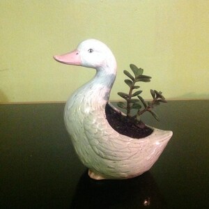 Peut inclure: Un pot de fleur en forme de canard en céramique blanche avec un bec rose et une petite plante verte à l'intérieur. Le canard présente des motifs de plumes détaillés. Objet décoratif.