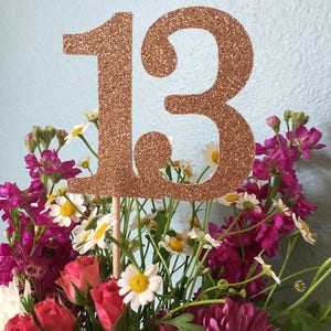 13 Centerpiece Picks, 13th Birthday Decorations, 13th Birthday Centerpiece Sticks, Number 13 Sticks, Thirteen Centerpiece Sticks 3 Count image 5