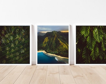 Jungle Print, tropical leaf print, palm tree print, GALLERY WALL SET, set of 3 prints, aerial photography, tropical wall art, leaf print