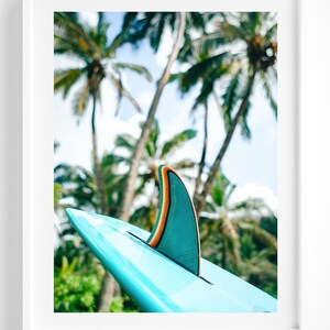 K&ouml;nnte beinhalten: Eine t&uuml;rkisfarbene Surfboard-Finne mit orangefarbenen und gr&uuml;nen Streifen vor einem Hintergrund aus Palmen.