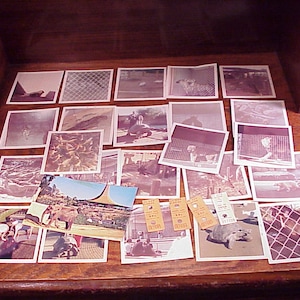 Vintage Set of 1969 Los Angeles Zoo Paper Items, 22 Photographs, 4 Ticket Stubs, 1 Postcard, Paper Ephemera, Old, Retro, Souvenir, 1960&#39;s