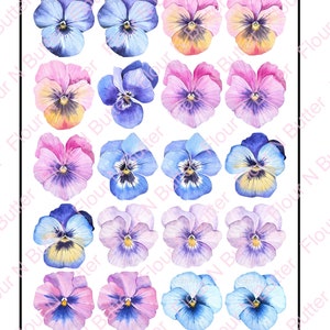 Edible Pre-Cut Wafer Pansy Flowers 4 cm