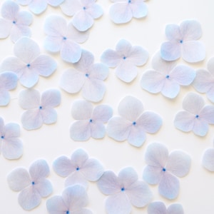 Fiori di ortensia commestibili pretagliati in cialda