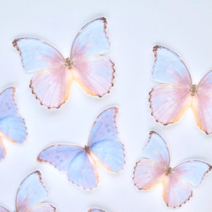 Edible Pre-Cut Wafer Butterfly - Large Pink and Purple