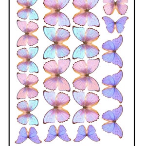 Edible Pre-Cut Wafer Butterfly - Blue Purple and Pink