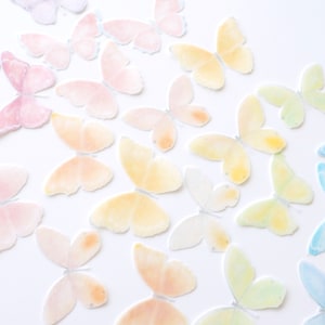 Edible Pre-Cut Wafer Butterfly - Watercolor