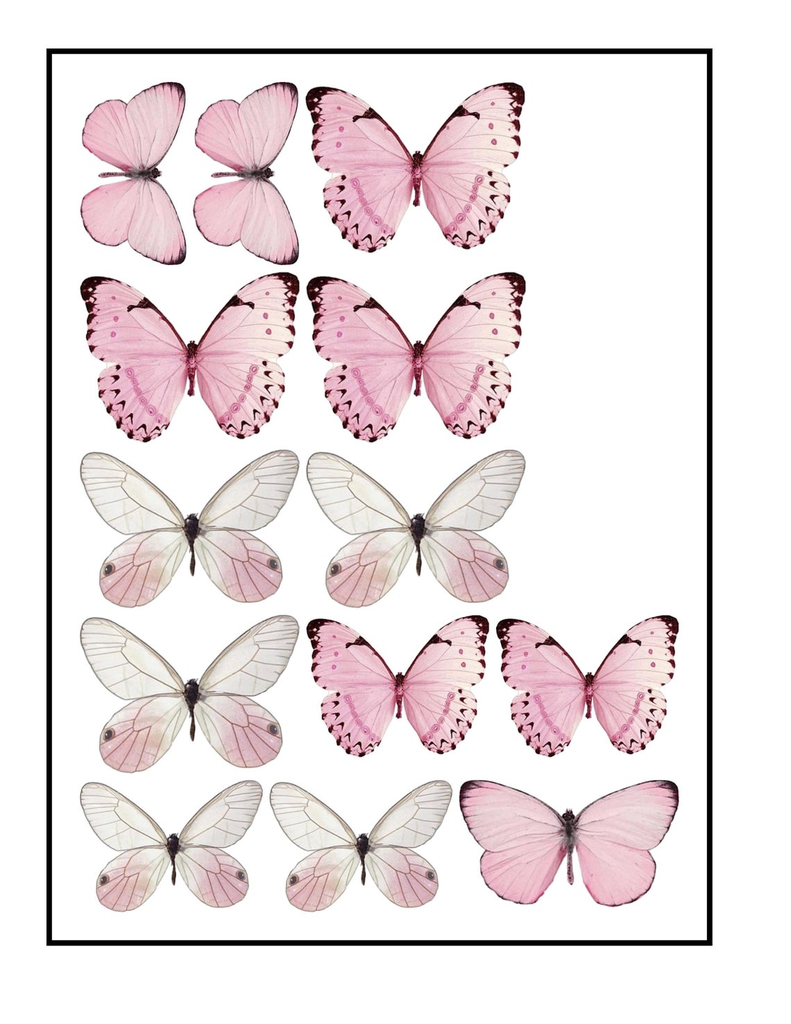 Edible PreCut Wafer Butterfly Pastel Pink and White Large Etsy