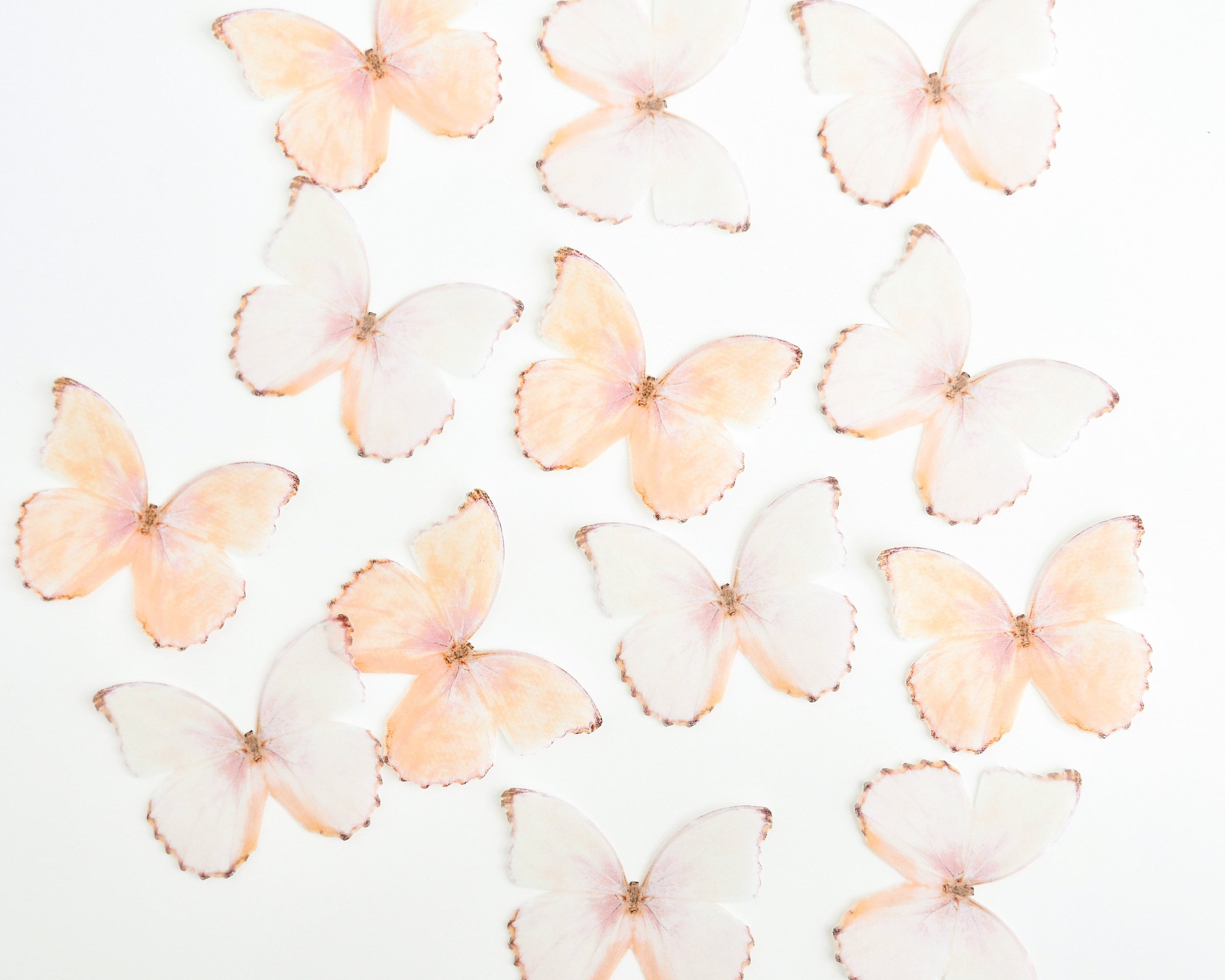 Edible Pre-Cut Wafer Butterfly - Peach Edible Wafer Butterfly