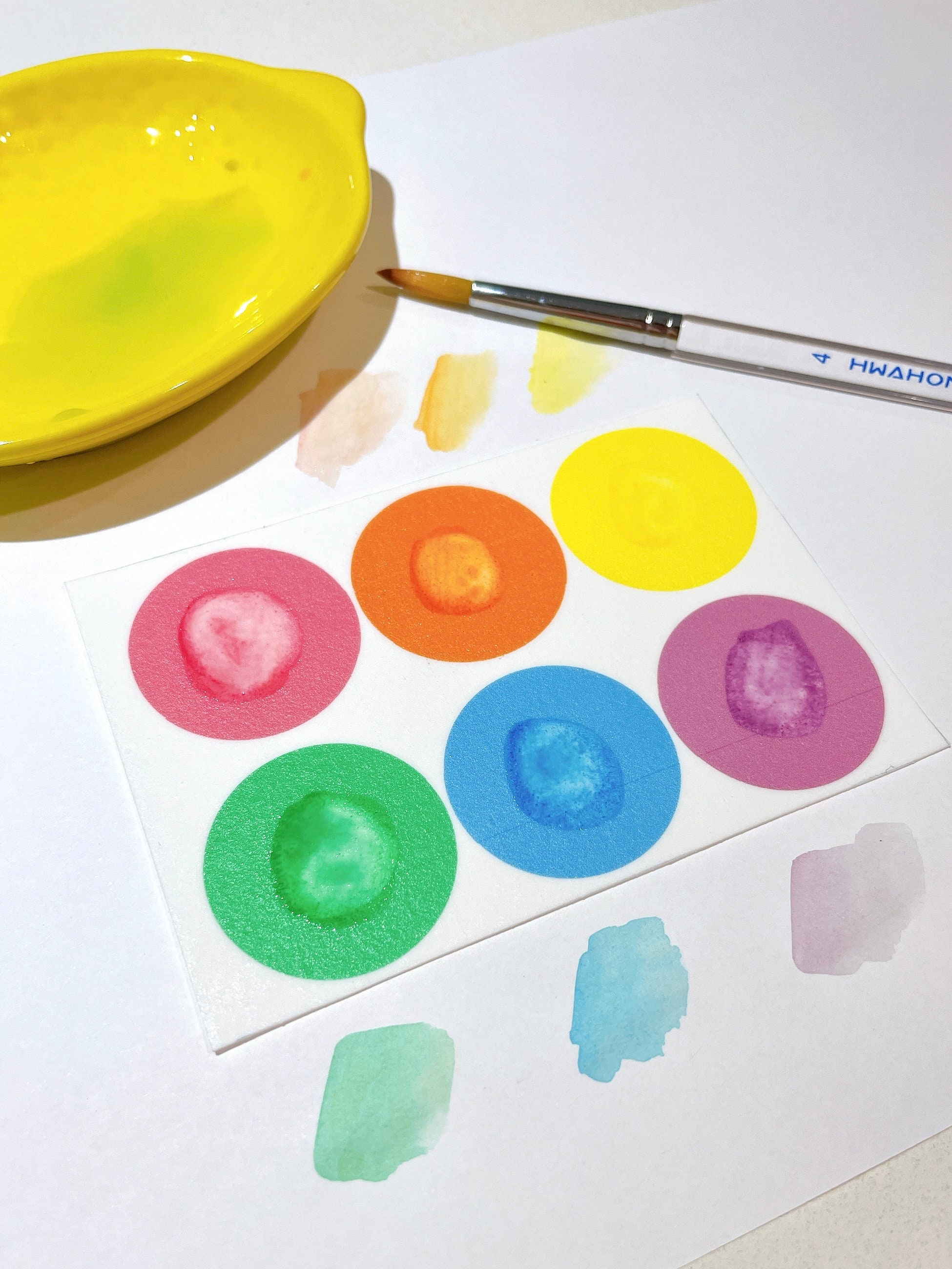 Pack of 8 PYO Cookie Icing Palette Pastel Color Paint Your Etsy Australia