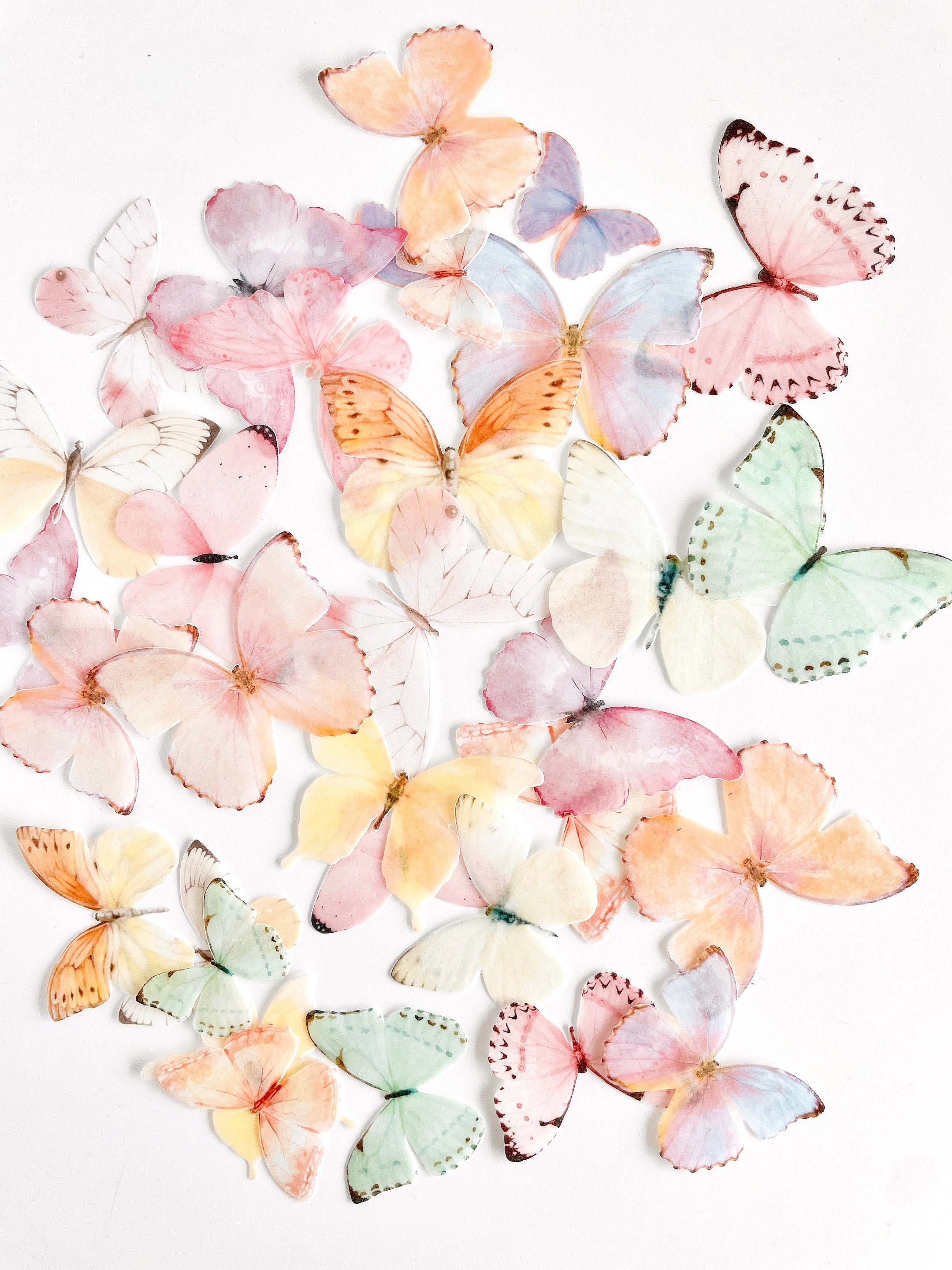 Pack of 32 35cm Precut Edible Wafer Paper Butterfly Etsy Australia