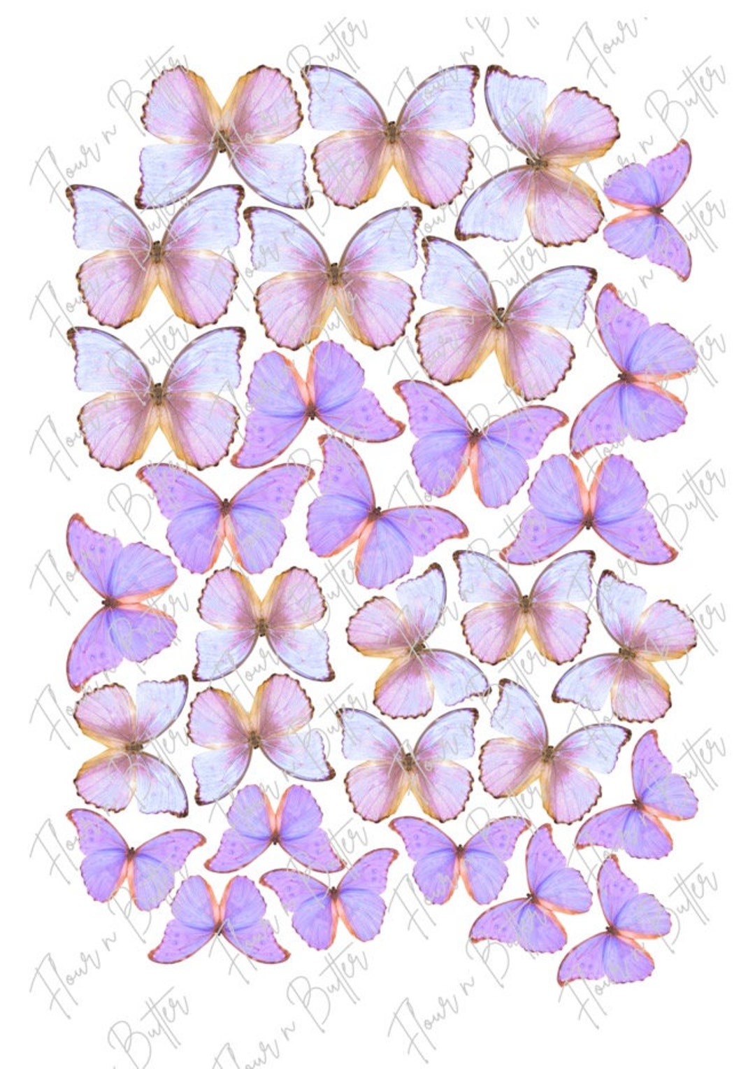 Pack of 31, 45cm Edible Precut Wafer Butterfly Pink and Purple Edible