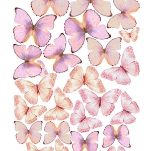 Pack of 26, 3-6cm Pre-Cut Edible Wafer Paper Butterfly - Pink Wafer butterfly, Pink edible butterfly, wafer paper butterfly