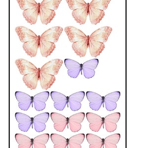 Edible Pre-Cut Wafer Butterfly - Pastel Pink and White