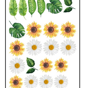 Edible Pre-Cut Wafer Flowers - Sunflower and Daisy