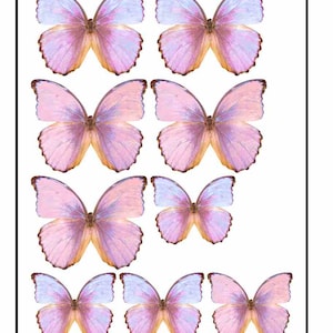 Edible Pre-Cut Wafer Butterfly - Large Double Layered Butterfly