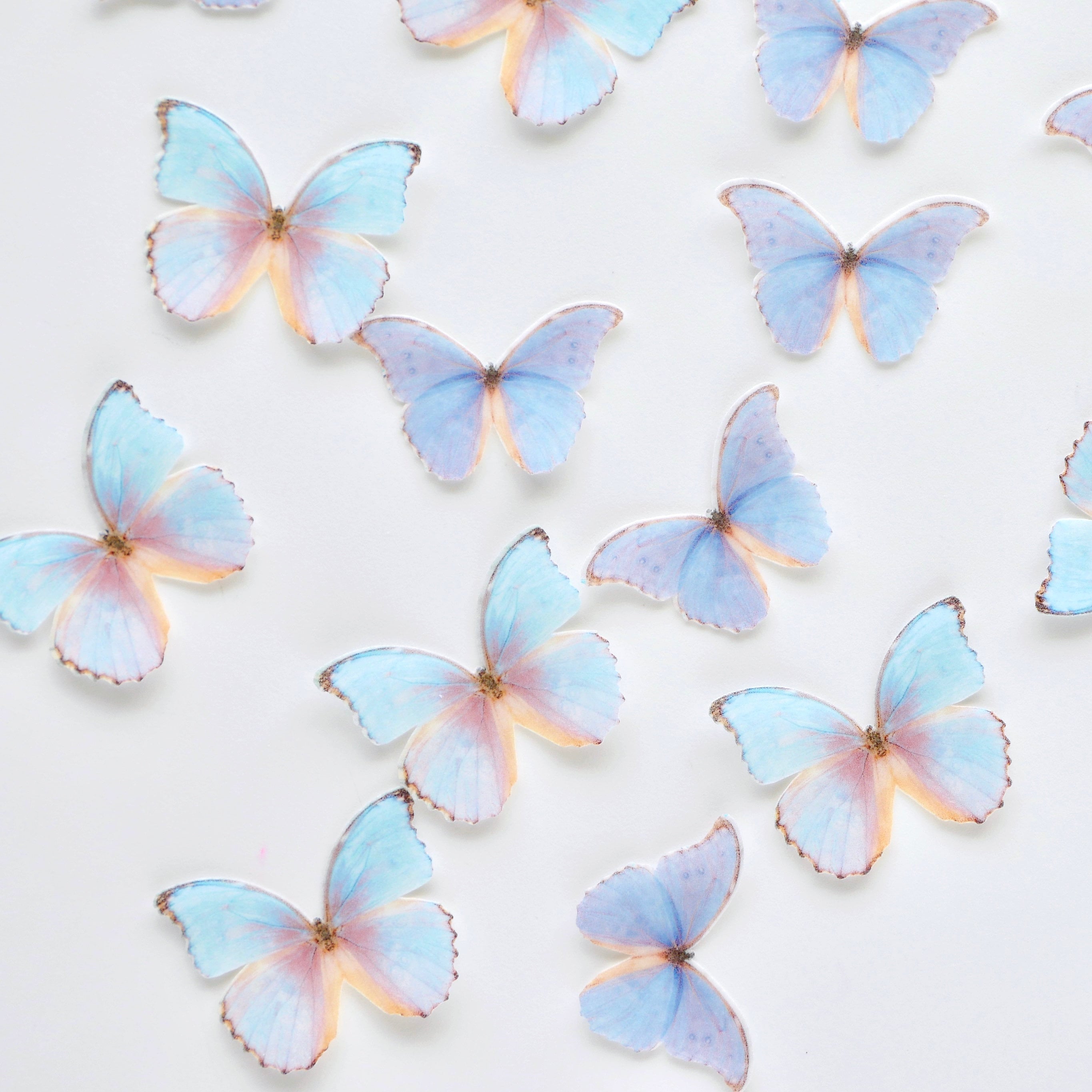 Baking & Cake Decoration Paper, Party & Kids Blue Edible Precut Wafer