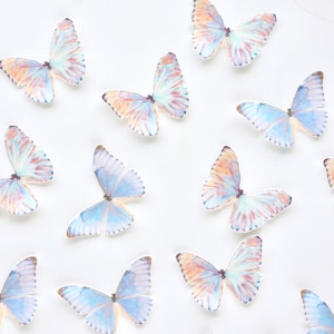 Edible Pre-Cut Wafer Butterfly - Rainbow & Purple