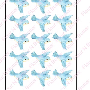 Essbare Vorgesägte Oblatenvögel - 04 Blaue Vögel