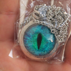 Puede incluir: Un collar de cadena de plata con un colgante redondo que presenta un diseño de ojo azul y verde.