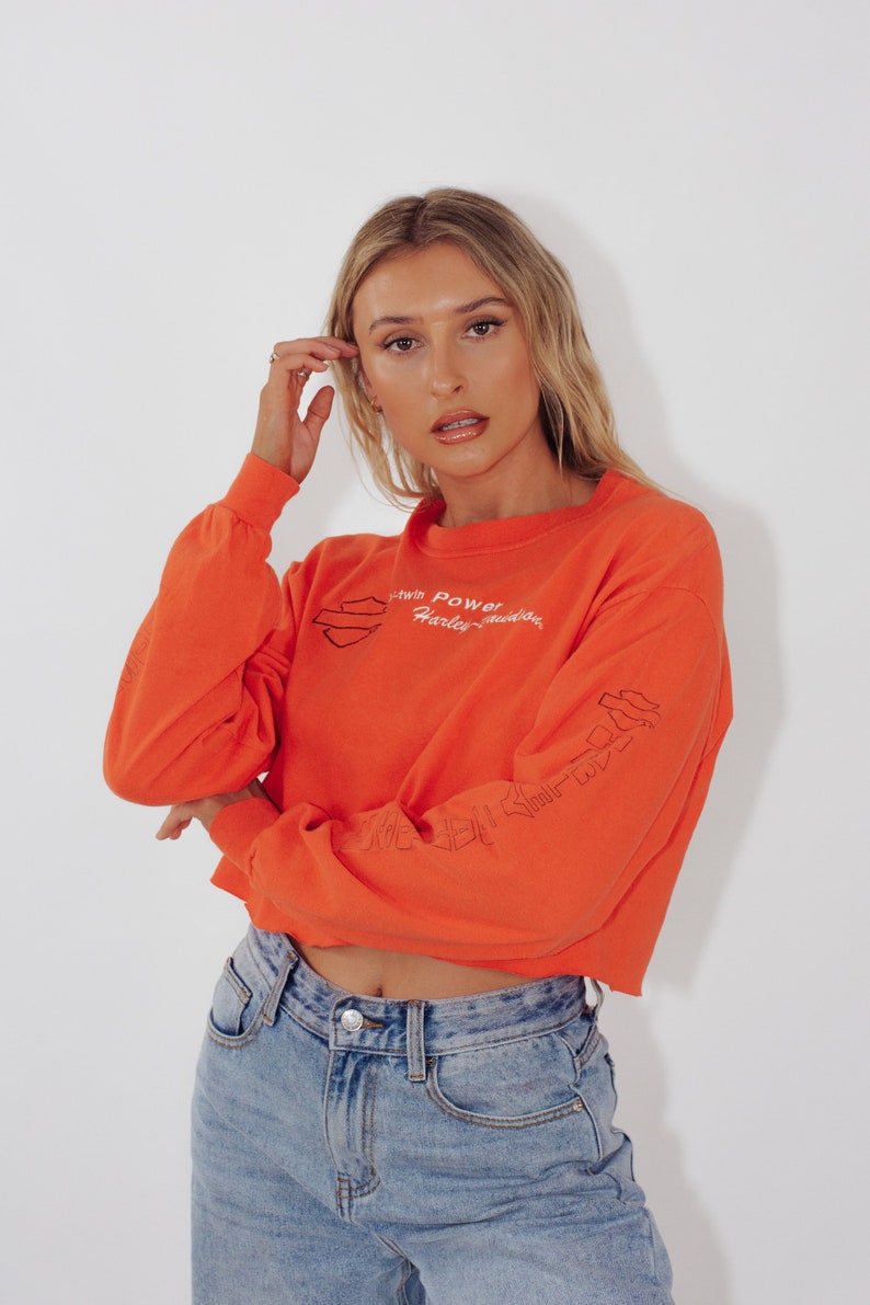 Vintage Harley Davidson Tee Cropped St Joe HD