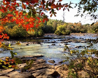 Fall foliage over the Oconee River, Ben Burton Park, Athens, GA