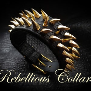 Leather dog collar with gold spikes