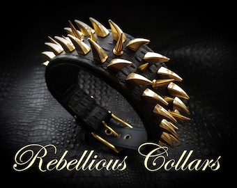 Leather dog collar with gold spikes